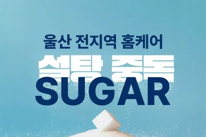 울산 홈케어마사지 [설탕홈케어] 울산 전지역 출장마사지 대표 이미지